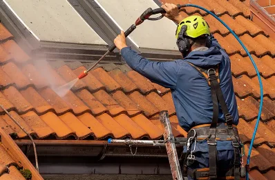 Démoussage et hydrofuge de toiture à Castelnau-Barbarens